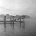Aquatic Park Fog