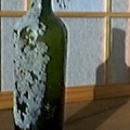 Bottle Retrieved from the Sea 2
